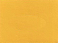 2003 GM Bright Yellow